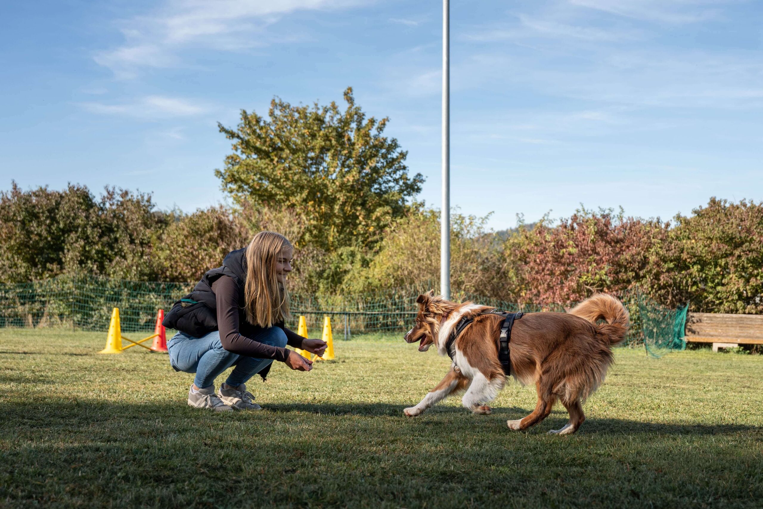 VDH Gaildorf Hundeverein Herbstfest 2